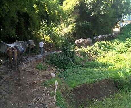 三水区马帮运输队