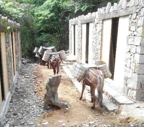 三水区马队运输队