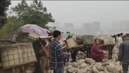 三水区骡马山区运输
