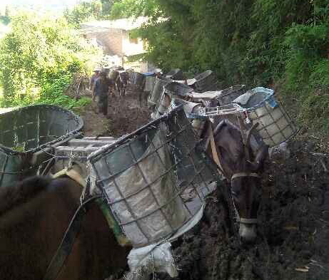 三水区马帮搬运