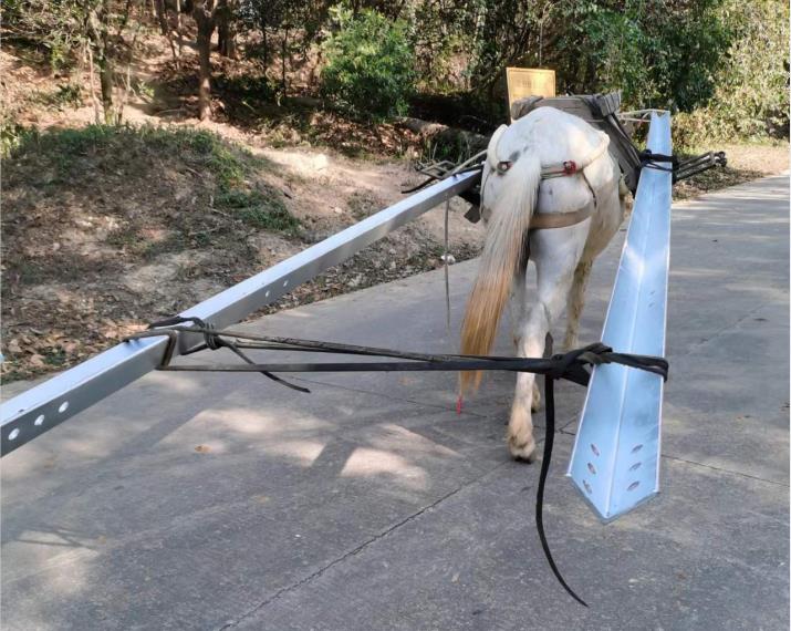 三水区马队搬运