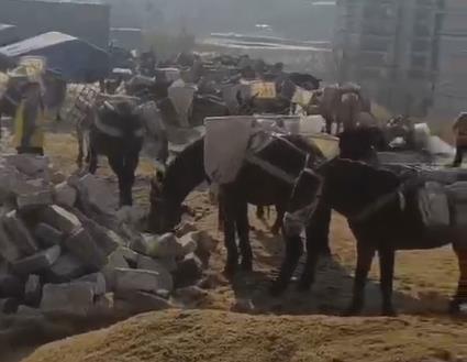 三水区马队山路运输