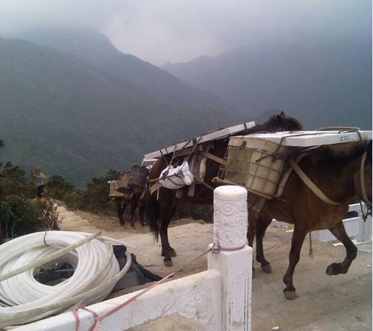 三水区山区马帮运输