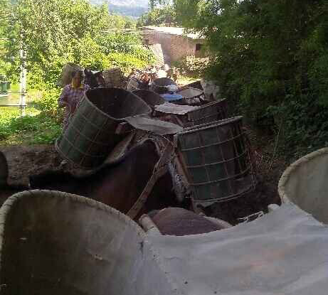 三水区骡马运输